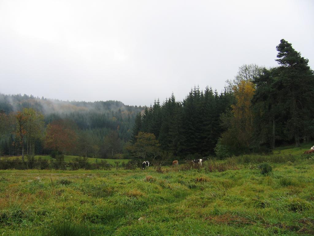 MedeyrollesLa Ferme Des Genets住宿加早餐旅馆 外观 照片