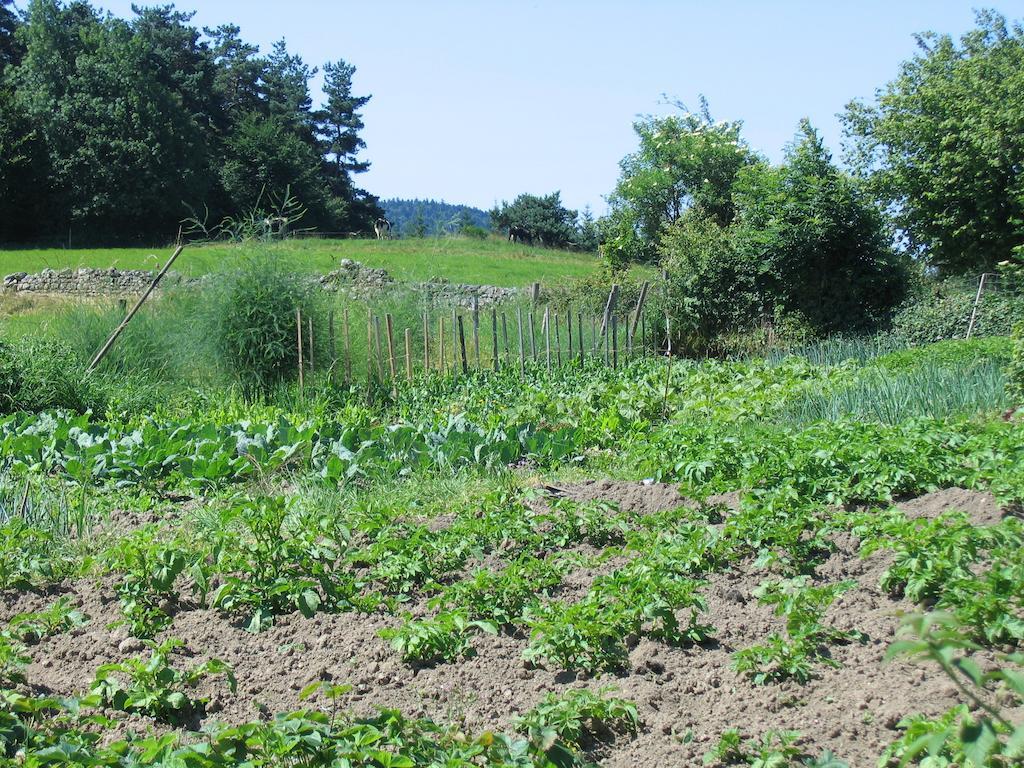 MedeyrollesLa Ferme Des Genets住宿加早餐旅馆 外观 照片